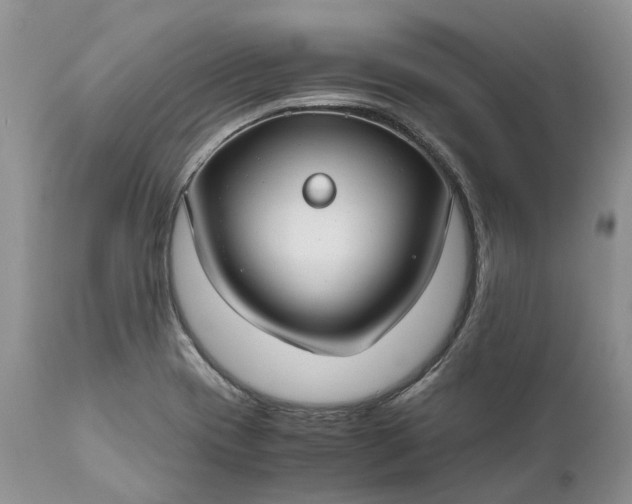 X0000111031417200907091534