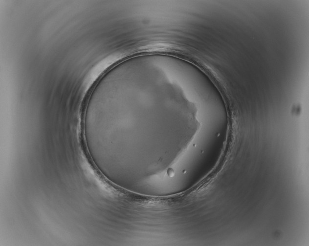 X0000111031418200907091534