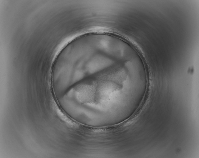 X0000111031421200907091534