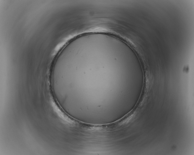 X0000111031422200907091534