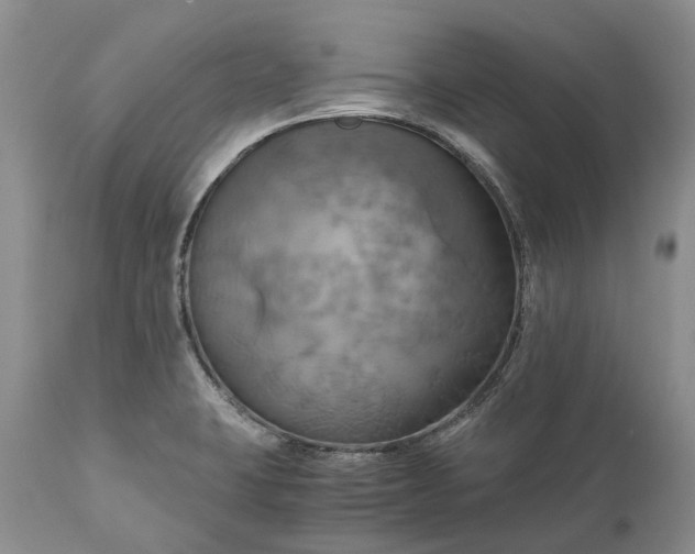 X0000111031423200907091534