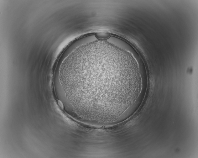X0000111031424200907091534