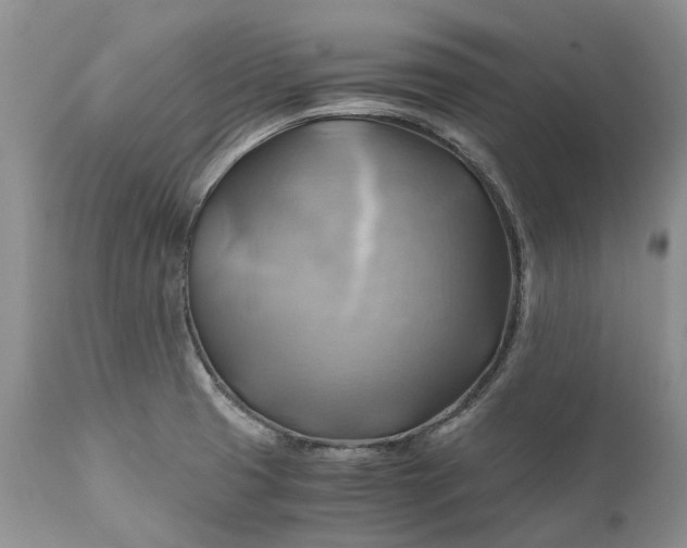 X0000111031425200907091534