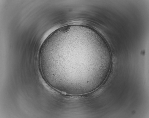 X0000111031426200907091534