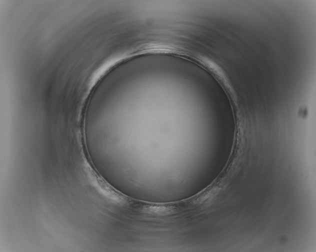 X0000111031427200907091534