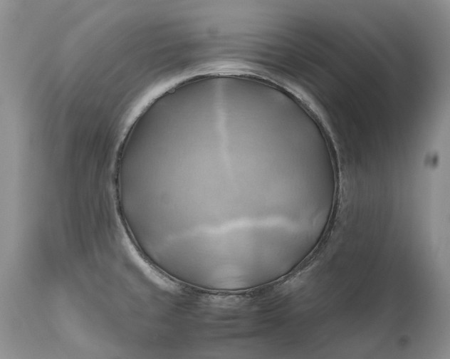 X0000111031429200907091534