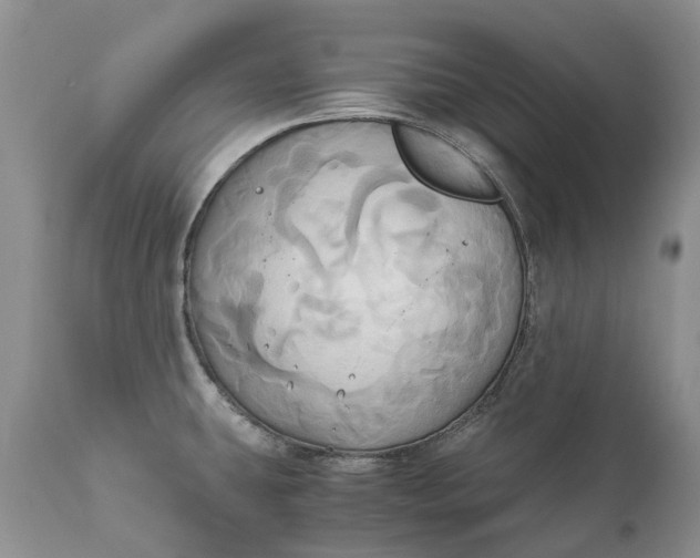 X0000111031431200907091534