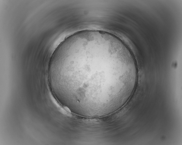 X0000111031432200907091534