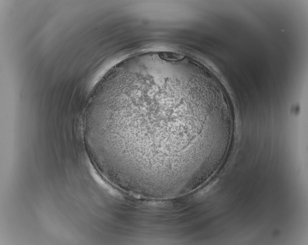 X0000111031433200907091534