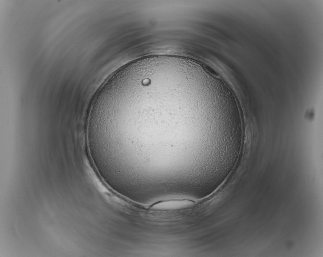 X0000111031434200907091534