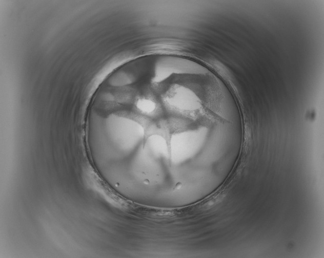 X0000111031435200907091534