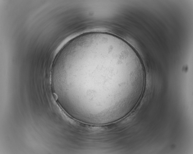 X0000111031436200907091534