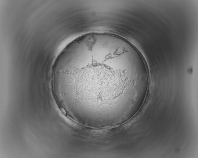 X0000111031437200907091534