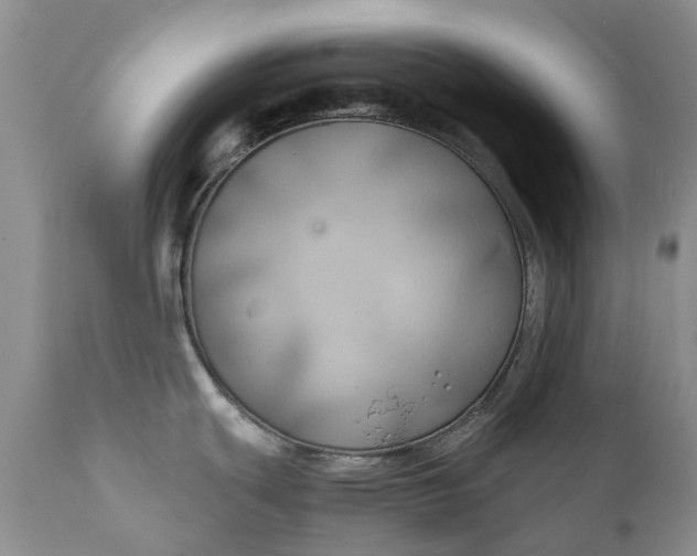 X0000111031439200907091534