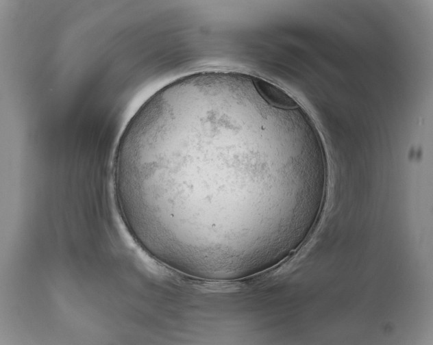 X0000111031440200907091534