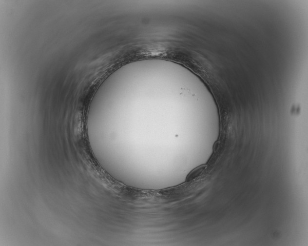 X0000111031442200907091533