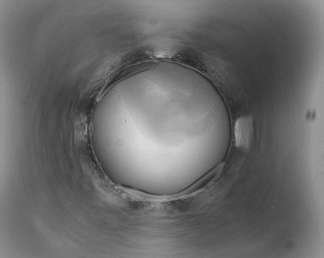 X0000111031443200907091533