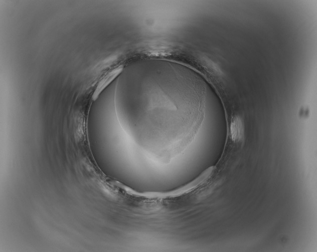 X0000111031444200907091533
