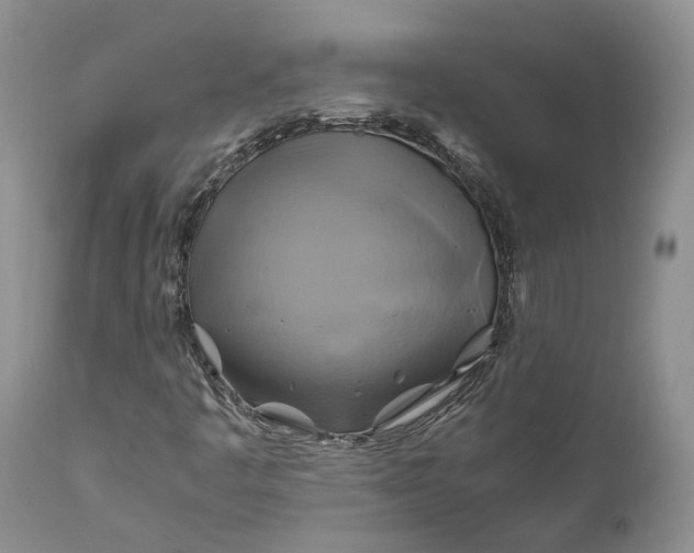 X0000111031445200907091533