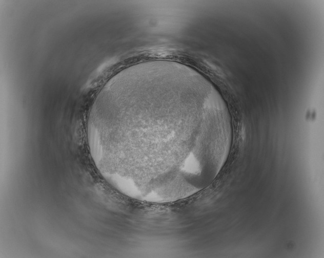 X0000111031446200907091533
