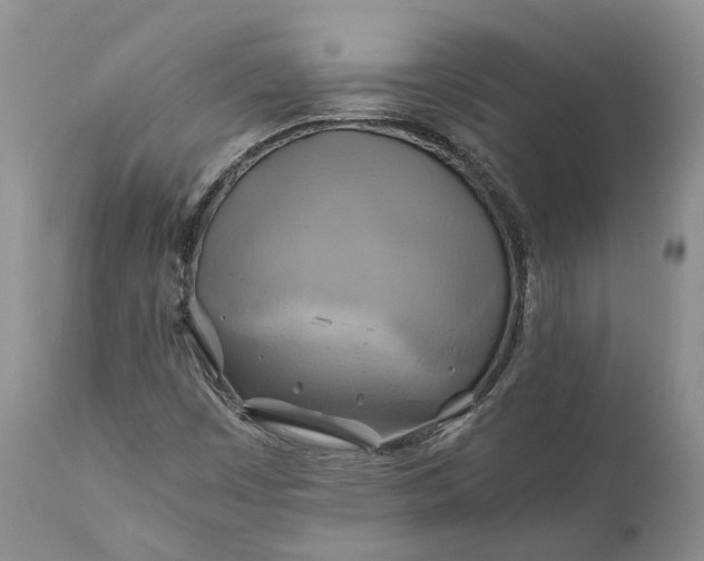 X0000111031449200907091533