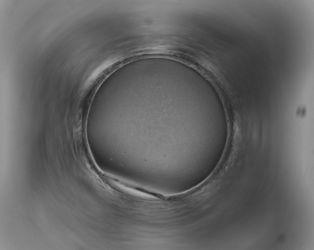 X0000111031450200907091533