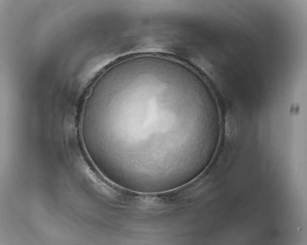 X0000111031452200907091533