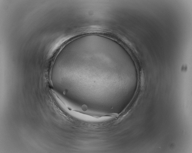 X0000111031453200907091533
