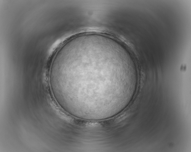 X0000111031454200907091533