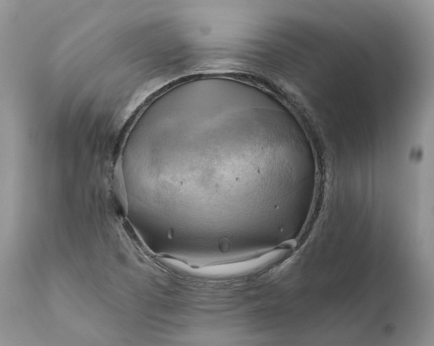 X0000111031457200907091533