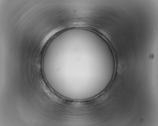 X0000111031458200907091533