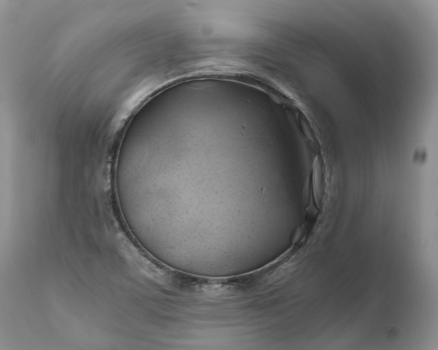 X0000111031459200907091533