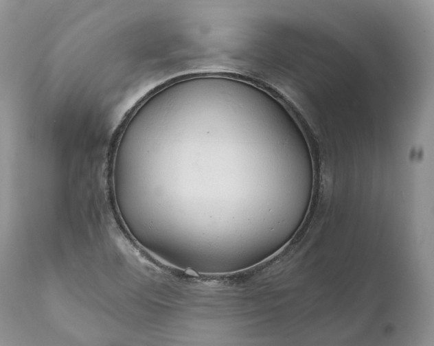 X0000111031460200907091533