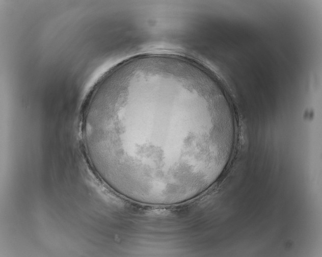 X0000111031462200907091533