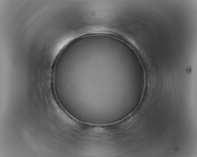 X0000111031463200907091533