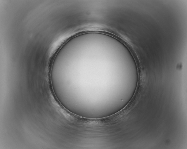 X0000111031464200907091533