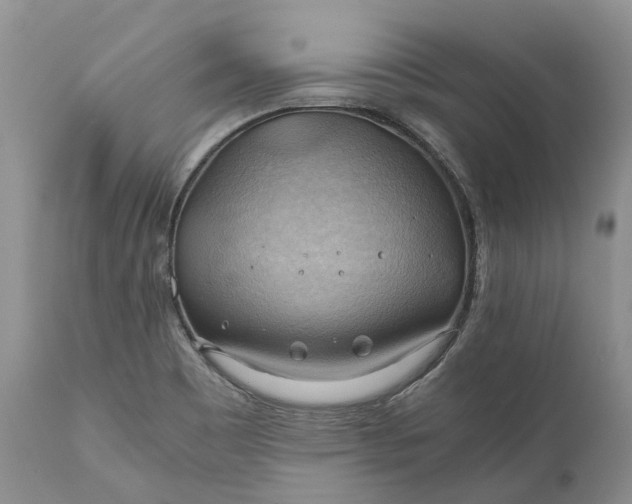 X0000111031465200907091533