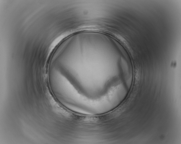 X0000111031466200907091533