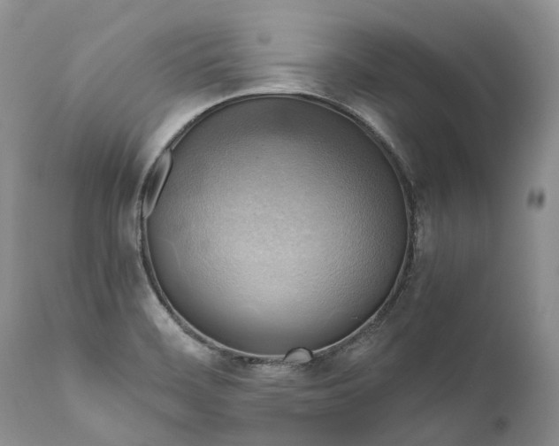 X0000111031468200907091533