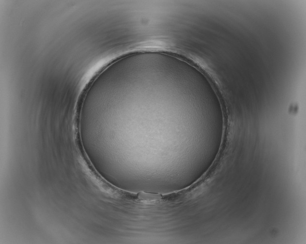 X0000111031469200907091533