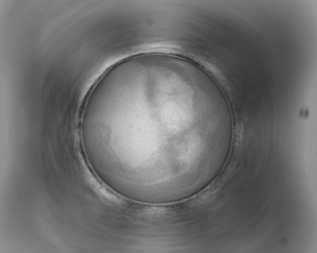 X0000111031470200907091533