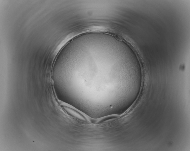 X0000111031473200907091533