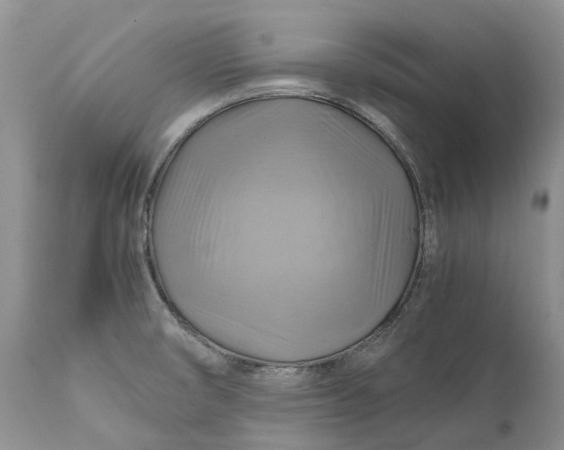 X0000111031474200907091533