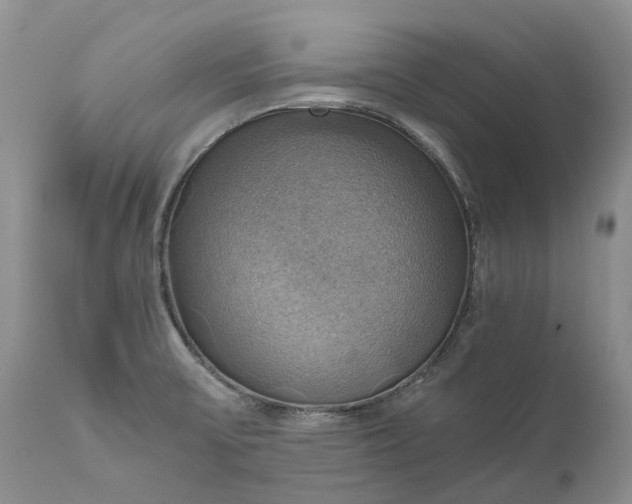 X0000111031475200907091533