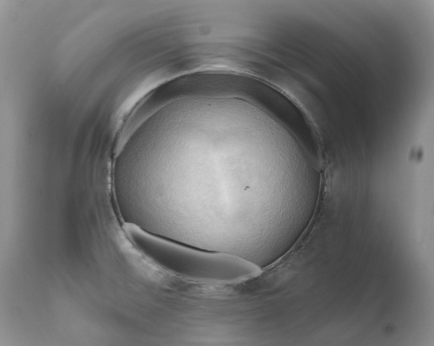 X0000111031476200907091533