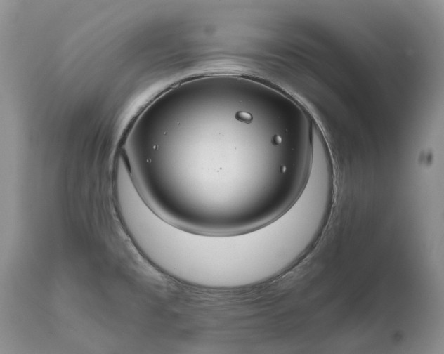 X0000111031477200907091533