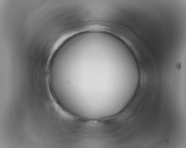 X0000111031478200907091533