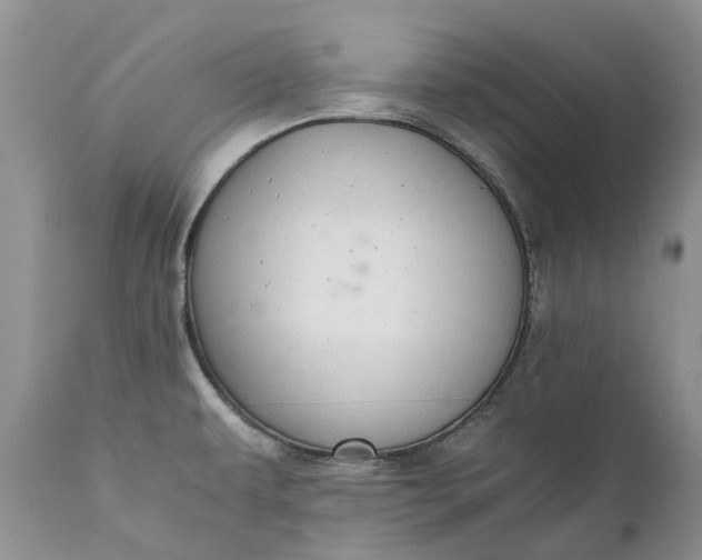 X0000111031479200907091533
