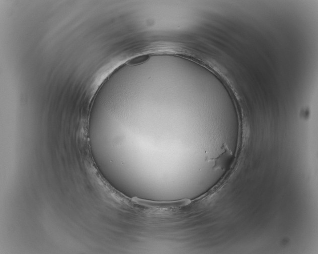 X0000111031481200907091533
