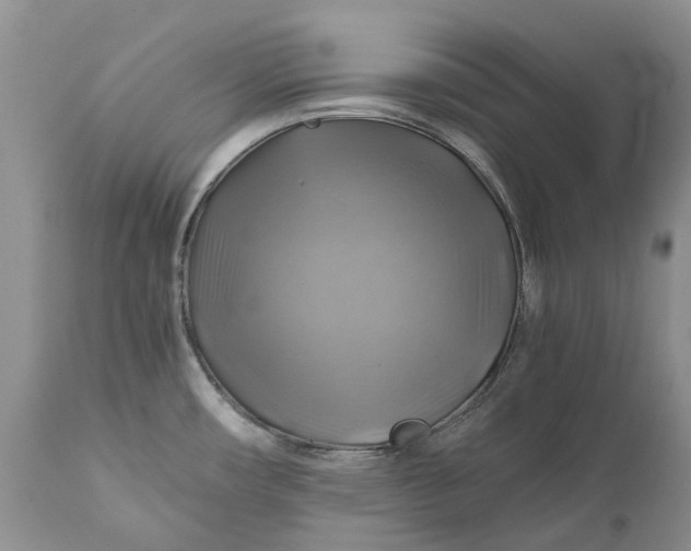 X0000111031482200907091533